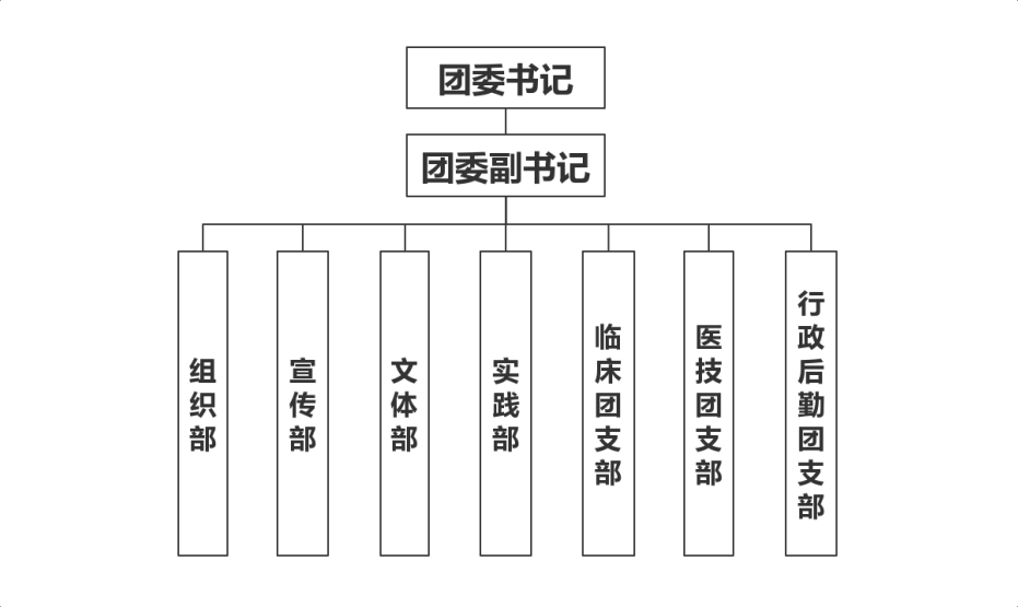 团委组织结构图.png